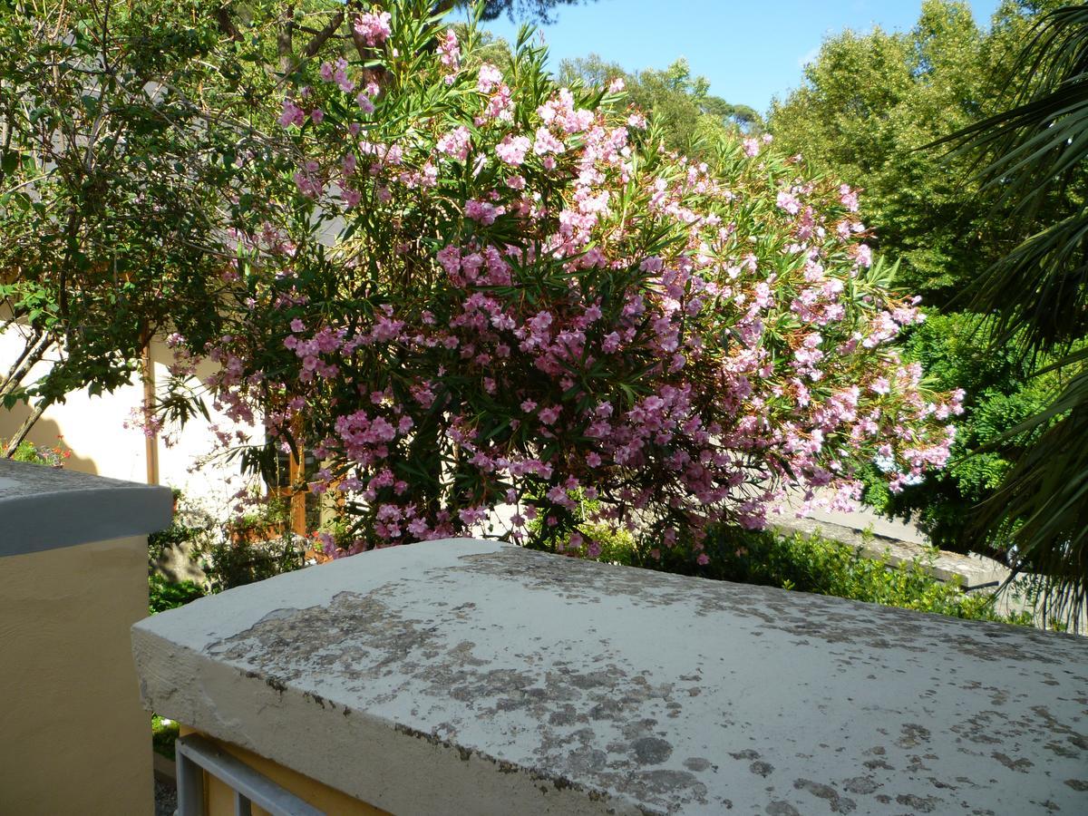 Villa Santa Margherita - B&B Cortona Exterior photo